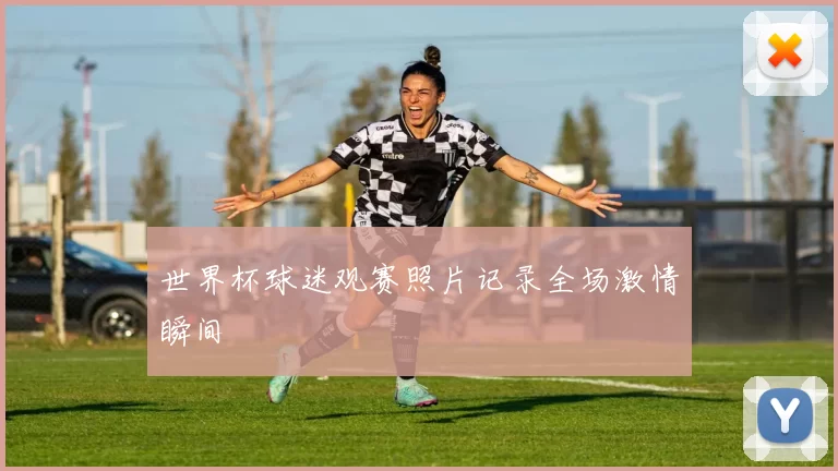 世界杯球迷观赛照片记录全场激情瞬间