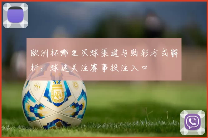 欧洲杯哪里买球渠道与购彩方式解析，球迷关注赛事投注入口