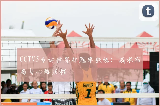 CCTV5专访世界杯冠军教练：战术布局与心路历程