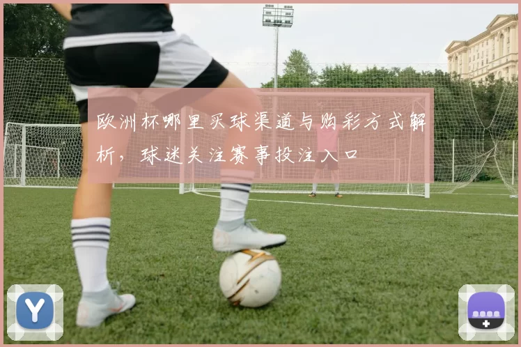 欧洲杯哪里买球渠道与购彩方式解析,球迷关注赛事投注入口