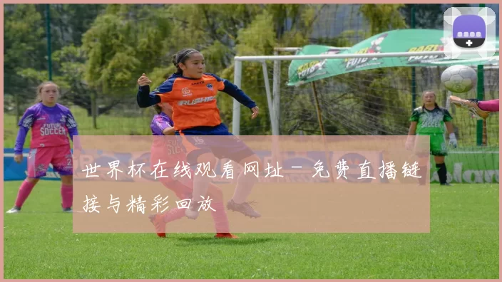 世界杯在线观看网址 - 免费直播链接与精彩回放