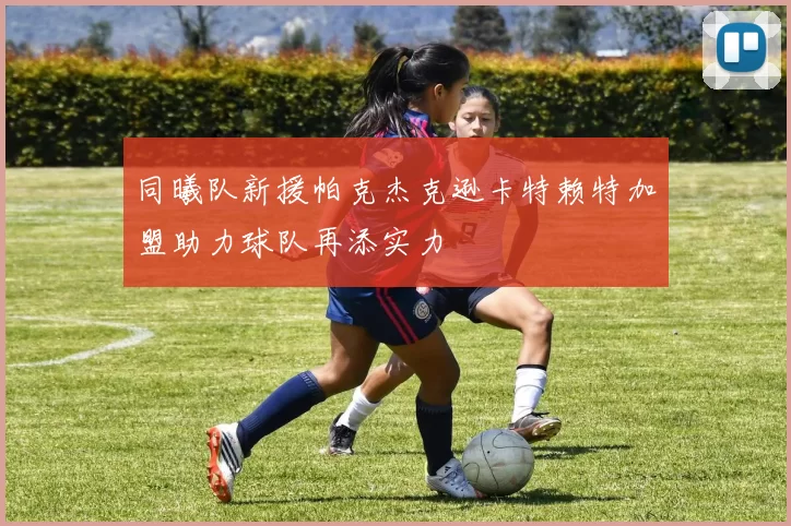 同曦队新援帕克杰克逊卡特赖特加盟助力球队再添实力