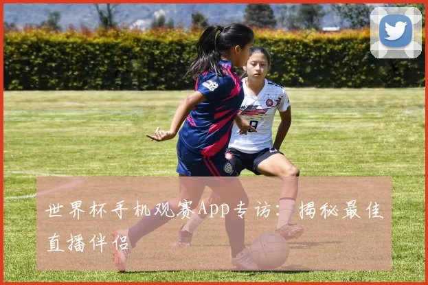 世界杯手机观赛App专访：揭秘最佳直播伴侣