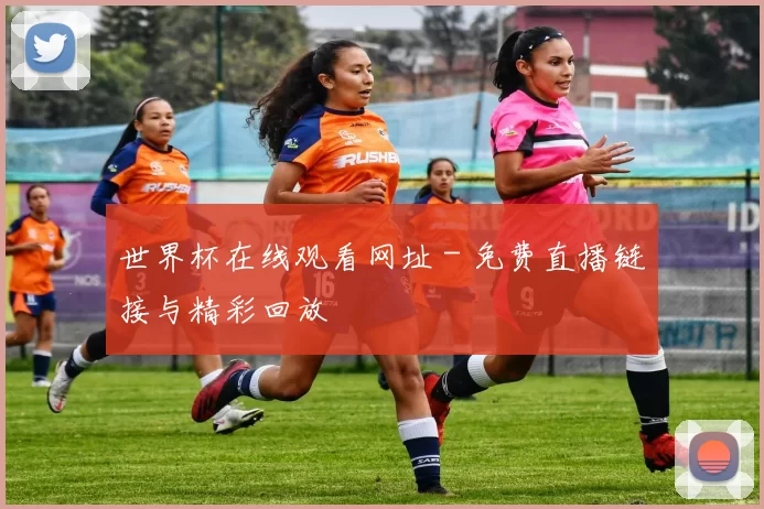 世界杯在线观看网址 - 免费直播链接与精彩回放