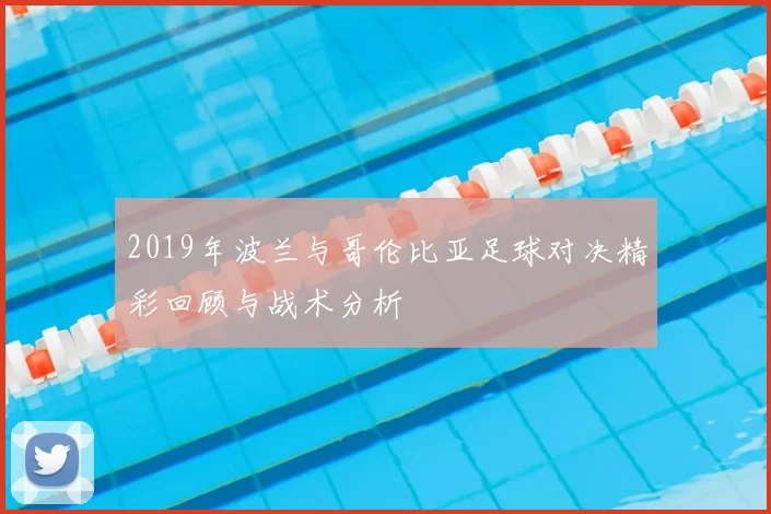 2019年波兰与哥伦比亚足球对决精彩回顾与战术分析