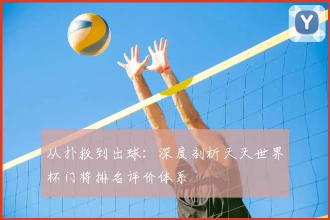 从扑救到出球：深度剖析天天世界杯门将排名评价体系