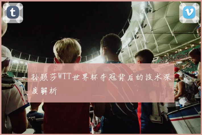 孙颖莎WTT世界杯夺冠背后的技术深度解析