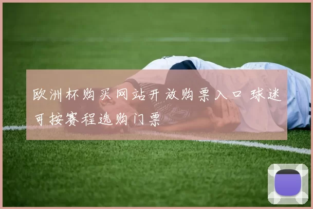 欧洲杯购买网站开放购票入口 球迷可按赛程选购门票