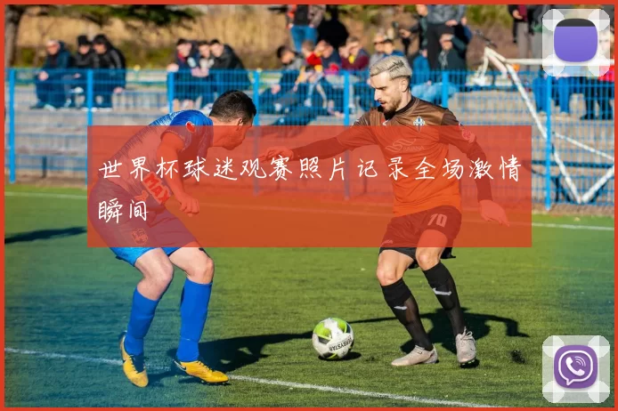 世界杯球迷观赛照片记录全场激情瞬间