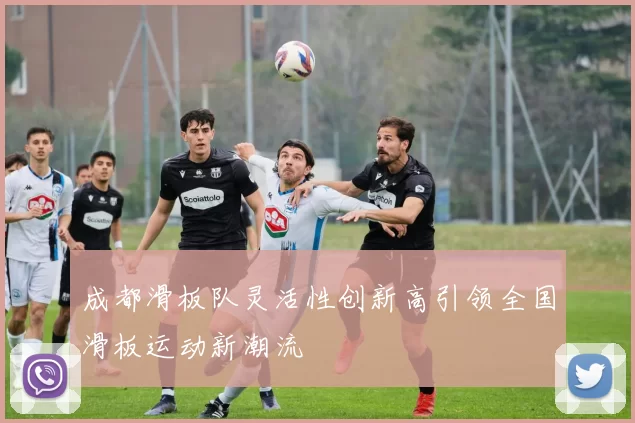 成都滑板队灵活性创新高引领全国滑板运动新潮流