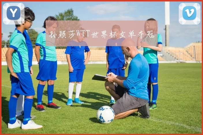孙颖莎WTT世界杯女单夺冠