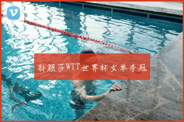 孙颖莎WTT世界杯女单夺冠
