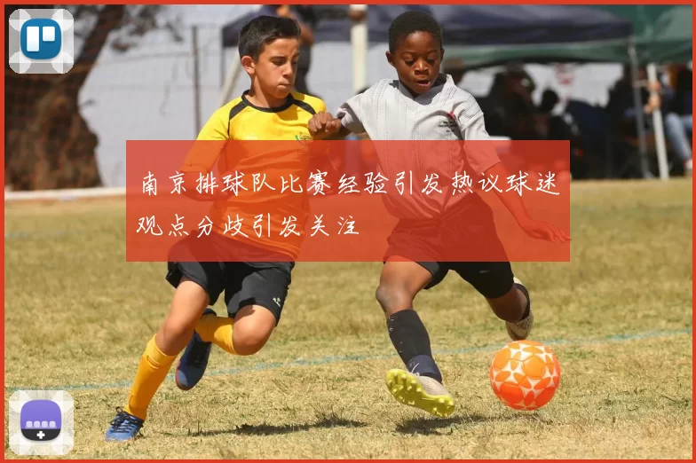 南京排球队比赛经验引发热议球迷观点分歧引发关注