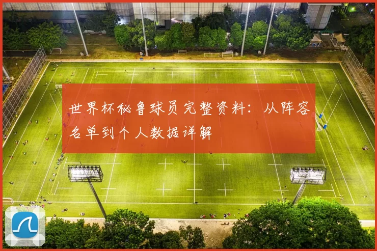 世界杯秘鲁球员完整资料:从阵容名单到个人数据详解