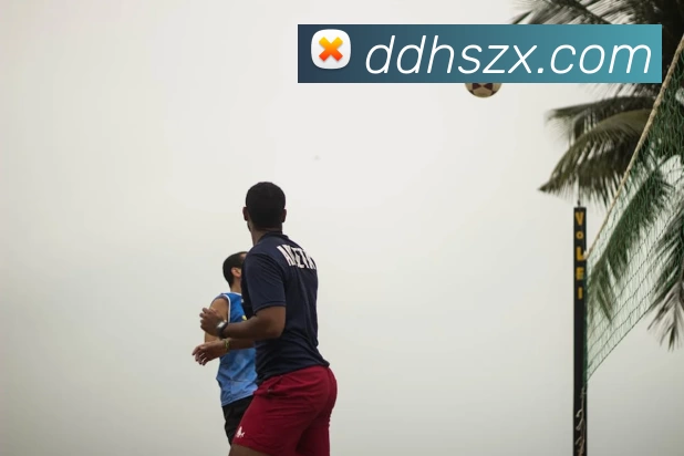 对战数据统计